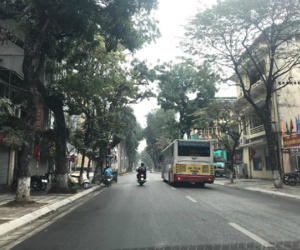 Tự thú của một lái xe ngày Tết