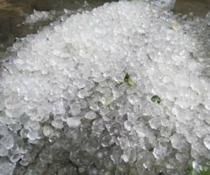 Mưa đá to bằng hạt ngô xuất hiện trong ngày đầu năm ở Nghệ An