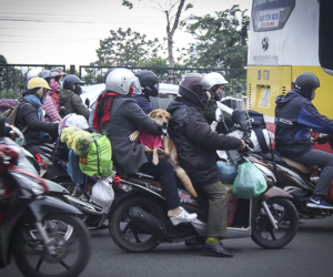 Muôn kiểu vận chuyển... trên xe máy lên Thủ đô
