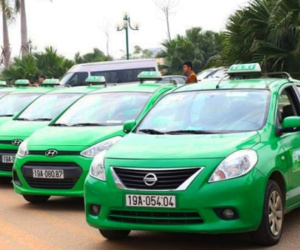Thanh lý tài sản giúp Mai Linh Miền Bắc thoát lỗ