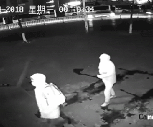 Rủ nhau lấy gạch đi đập cửa trộm đồ, tên trộm ngớ ngẩn đập nhầm luôn... đồng đội