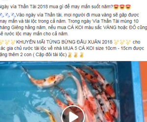Shop bỉm sữa, cá koi khuyến mãi ăn theo ngày vía Thần Tài