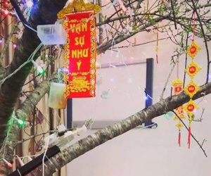 Giao thừa ám ảnh của nữ sinh trường y