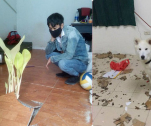 Lên phòng trọ sau kỳ nghỉ Tết, chàng trai ngỡ ngàng vì vật thể lạ xuất hiện giữa nhà