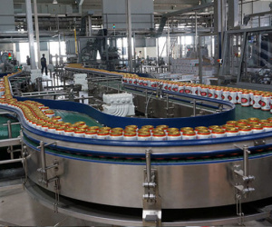 Đổ tiền mua Sabeco, ThaiBev phải xoay tiền trả nợ