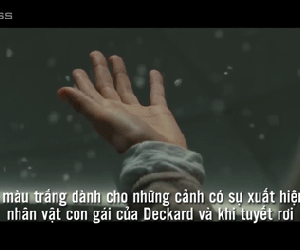 Cảnh đẹp trong năm đề cử quay phim của Oscar 2018