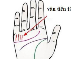 Có những đường chỉ tay này, bạn sẽ tiền nhiều tiêu cả đời không sợ hết