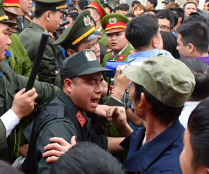 Mở cửa miễn phí, hội chọi trâu Hải Lựu 'vỡ trận'