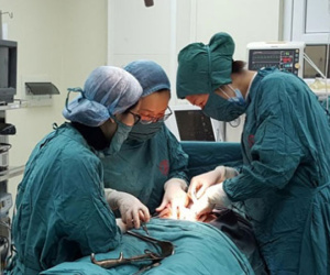 Thai phụ bị vỡ tử cung được cứu sống trong gang tấc