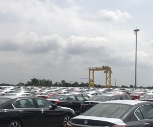 924 ô tô Honda về cảng Hải Phòng nộp thuế gần 224 tỷ đồng