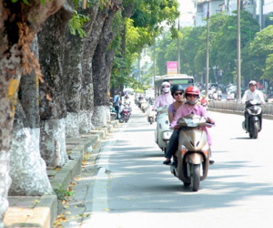 Dự báo thời tiết 10/3: Miền Bắc hanh khô như rang