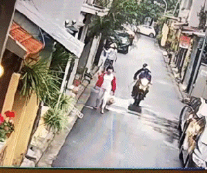 Video: Cảnh trộm chó táo tợn giữa phố Hà Nội khiến dân mạng Việt "dậy sóng"