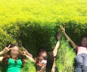 Cánh đồng hoa thì là ở Ninh Thuận vừa mở cửa 4 ngày đã vội vàng đóng cửa do bị khách tham quan giẫm đạp