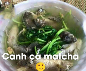 Xưa chọn vợ phải đảm, nay chỉ cần biết úp mì tôm là tốt lắm rồi!