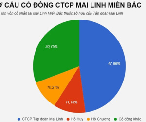 Em ruột Chủ tịch taxi Mai Linh muốn bán hết vốn tại doanh nghiệp