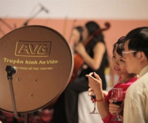 Thanh tra kiến nghị giao hồ sơ vụ MobiFone mua 95% AVG cho cơ quan điều tra