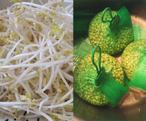 Mẹ Hà Nội mách cách làm giá đỗ cực nhàn cho người 'lười' chỉ bằng chiếc túi lưới bọc quả