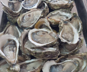 Lên chợ online 'tố cáo' người bán đưa 2 kg hàu, sau khi rửa sạch còn 1,6 kg, chị nội trợ tưởng được bênh ai ngờ ăn mắng