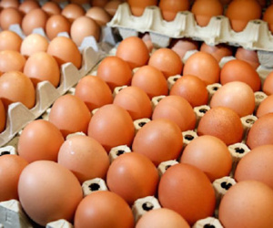 Thưởng nhân viên bằng trứng vì siêu lạm phát ở Venezuela