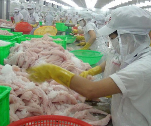 Sốc: Mỹ áp mức thuế cao khủng khiếp lên cá tra Việt Nam