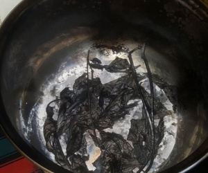 Chị em rôm rả kể chuyện chưa già đã lẫn, chứng minh hội chứng 'não cá vàng' sau sinh là có thật