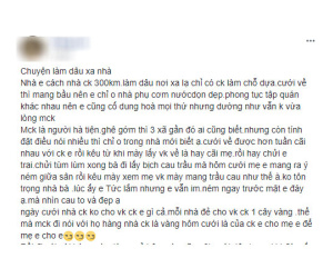 Lấy chồng xa 300 km, lại đụng ngay mẹ chồng cay nghiệt hay dựng chuyện, nàng dâu khóc thầm đưa con về ngoại