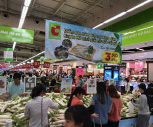 3 ngày 'giải cứu' củ cải trắng: Tiêu thụ 50 tấn, còn 1000 tấn chờ thu hoạch