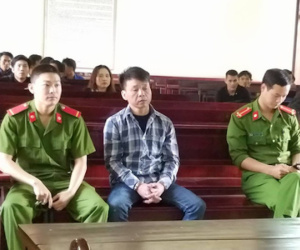 Ảnh minh họa