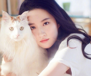 Nổi tiếng hiền lành nhưng Lưu Diệc Phi cũng phải lên tiếng khi bị tố chảnh chọe, mắc bệnh ngôi sao