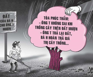 Đòi cả vườn nhưng được trả 420 cây mít