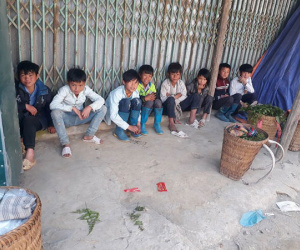 Đồn là 'rau trường sinh', thương lái Trung Quốc đổ xô mua rau dớn