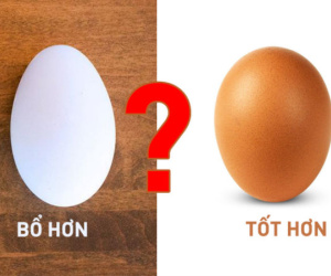Trứng gà hay trứng vịt tốt hơn: Vì hiểu sai nên nhiều người đã bỏ phí cơ hội bồi dưỡng