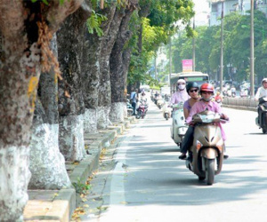 Dự báo thời tiết 30/3: Miền Bắc tăng nhiệt mạnh, Sài Gòn mưa rào
