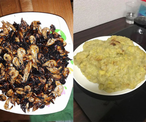 Bật cười với những món ăn xứng đáng lọt vào top đề cử giải thưởng 'vụng về triển vọng' của năm