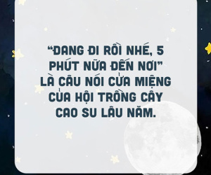 Đây chắc chắn là những câu nói dối quen thuộc nhất mà các bạn từng được nghe, dù cá tháng Tư có tồn tại hay không