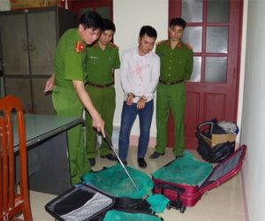 3 valy kéo đầy rắn hổ mang vận chuyển từ Sài Gòn ra Hà Nội