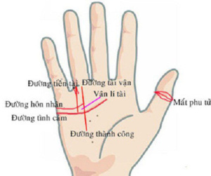 Bàn tay mà có 12 dấu hiệu này, bạn sẽ phú quý giàu sang cả đời, đặc biệt số 10 rất hiếm gặp