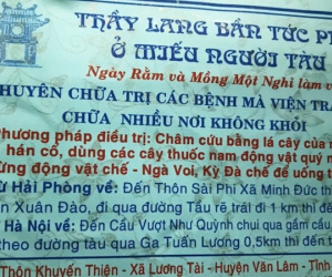 Giật mình 'Hoa Đà tái thế', chữa ung thư bằng đài âm dương và rễ cây