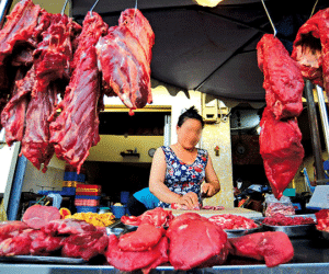 Bò ngoại làm khó bò nội