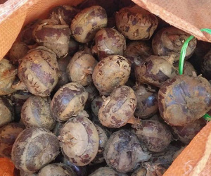 Mã thầy giải nhiệt: Hàng Tàu đội lốt đặc sản Việt, lừa dân lãi 1 gấp 3