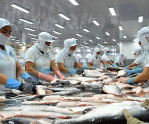 Mỹ áp thuế chống bán phá giá cá tra, tôm Việt Nam thiếu công bằng