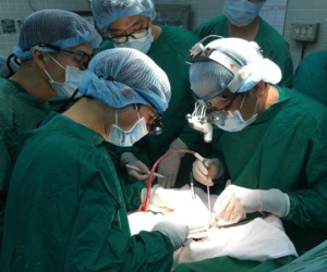 Người vợ ở Đồng Nai tình nguyện hiến tạng của chồng vừa chết não