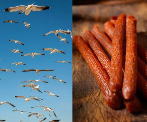 Vì một vali đầy ắp xúc xích pepperoni, người đàn ông Canada bị khách sạn 4 sao 'cấm cửa' 17 năm