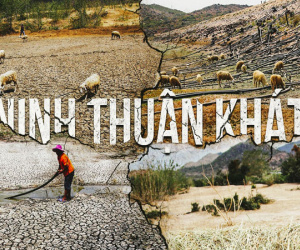 Ninh Thuận khát cháy đầu mùa khô