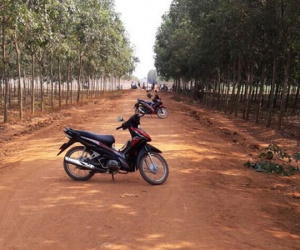 Ảnh bìa bài viết 529415