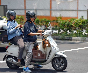 Vứt xe máy cũ, dân Singapore được trả 2.600 USD mỗi chiếc
