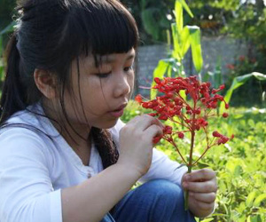 Bài văn viết về bố đạt điểm 10 của cô bé lớp 5