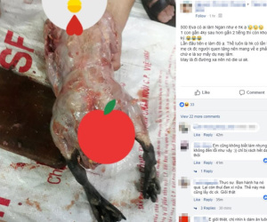 Nàng dâu làm thịt con ngan nặng từ 4kg xuống còn 2kg, không những sạch lông mà da cũng chẳng còn khiến hội chị em xôn xao