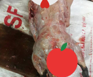 Nàng dâu Sài Gòn mất 2 tiếng 'đánh vật' vặt lông ngan, sạch được lông thì cũng bay hết cả da khiến chị em xôn xao