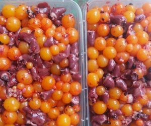 Đặc sản trứng gà non 350 ngàn/kg: Toàn từ gà công nghiệp thải loại